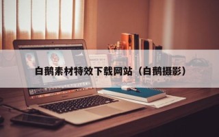 池州白鹅素材特效下载网站（白鹅摄影）